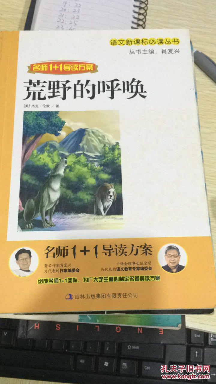 荒野的呼唤 ,_肖复兴主编_孔夫子旧书网