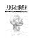 人体形态结构图谱