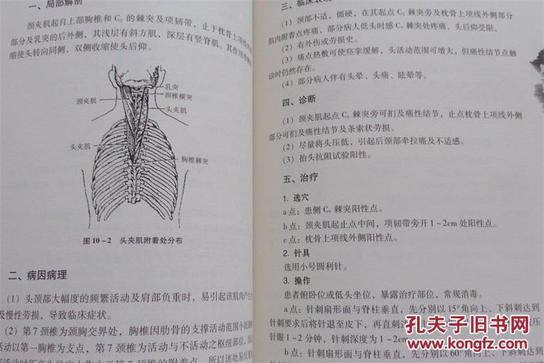 圆利针疗法:运动性损伤中西医结合针灸疗法最新版 胡超伟 著 长江出版