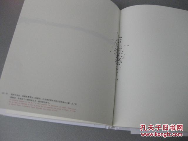 蚁呓【朱赢椿继2007年"世界最美图书"后的又一观念之作】