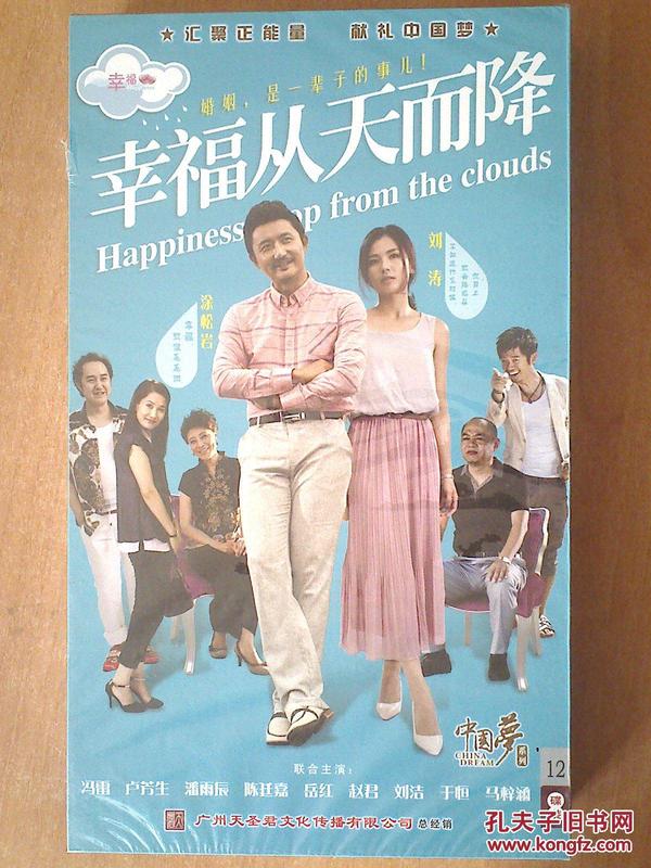幸福从天而降 【60集电视剧——刘涛 涂松岩】12dvd 十品未拆