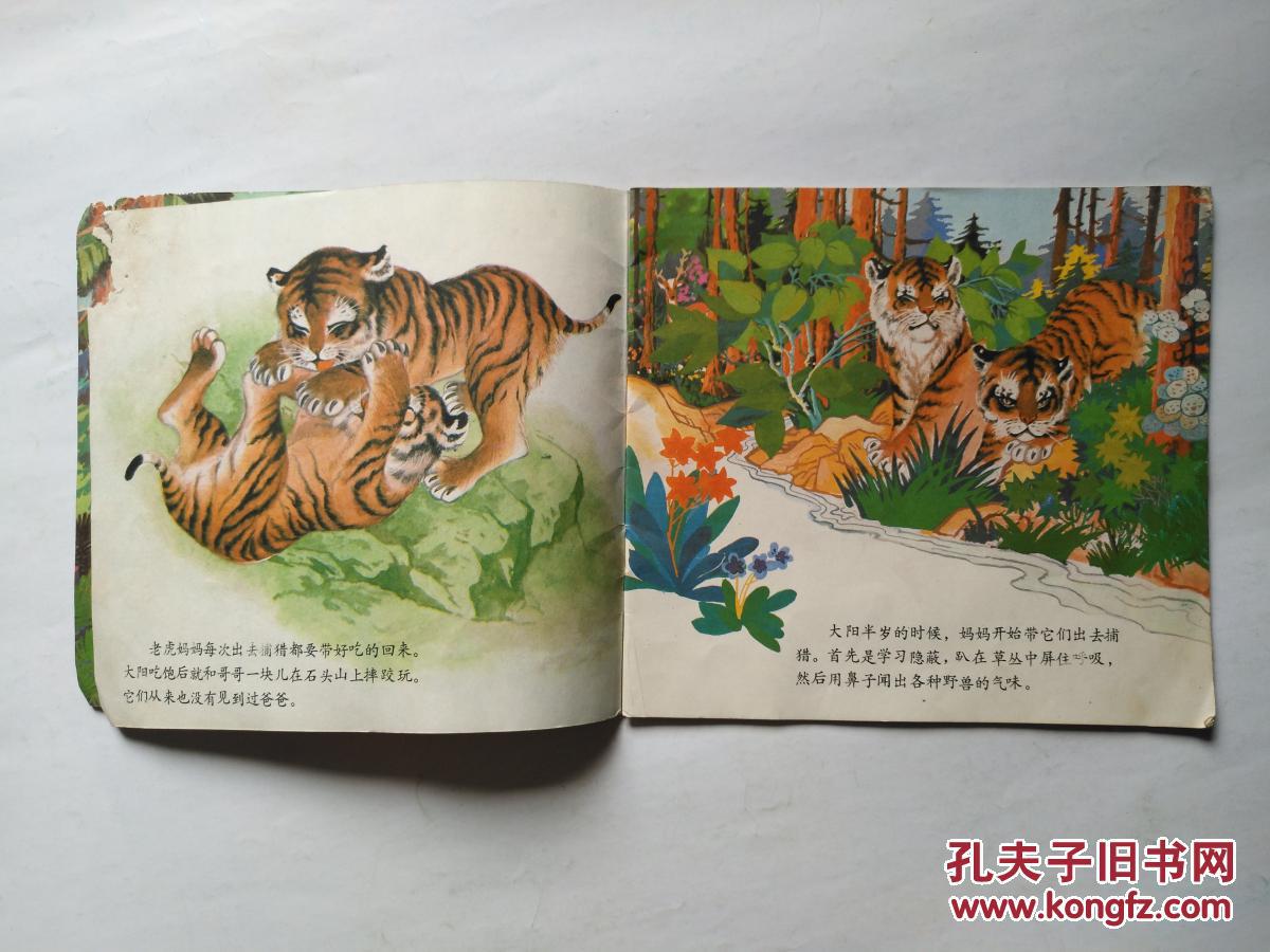 老虎的故事 彩色版