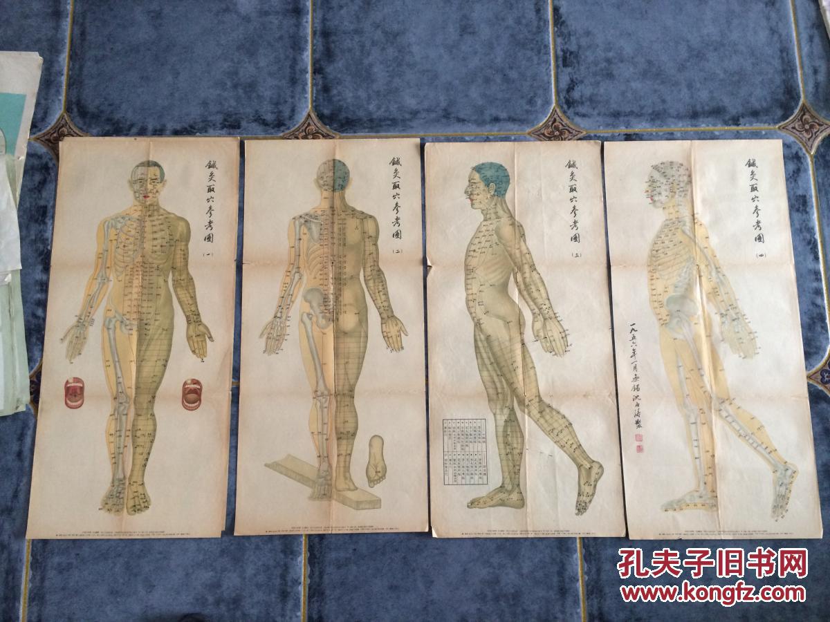 针灸取穴参考图 挂图4张全 沈白涛绘 1959年一版三印 另赠送第3幅图共