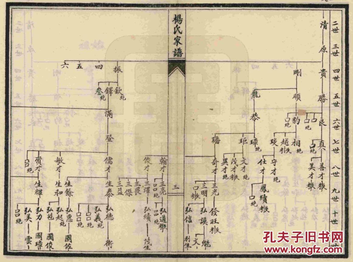 家谱-----杨氏家谱 【具体见品相描述】 河北沧县 亨公支 四本16开