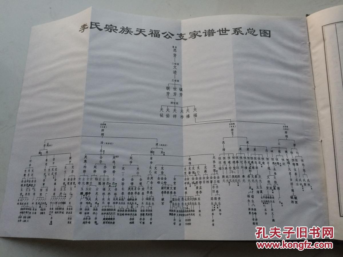 大开本硬精装 李氏族谱(天福公支谱) 拍品编号:28141084
