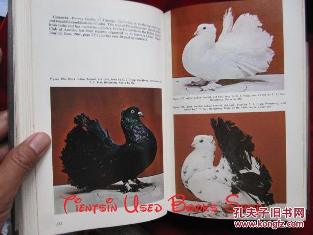 encyclopedia of pigeon breeds(1965年第1版 英语原版 精装本)鸽子