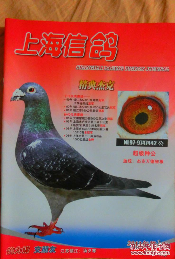 上海信鸽2013年第1期