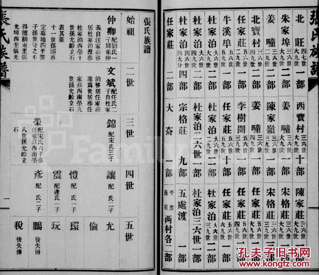 家谱----张氏族谱 张氏谱书 山东莱阳支 仲卿公 十本十卷 16开 780页