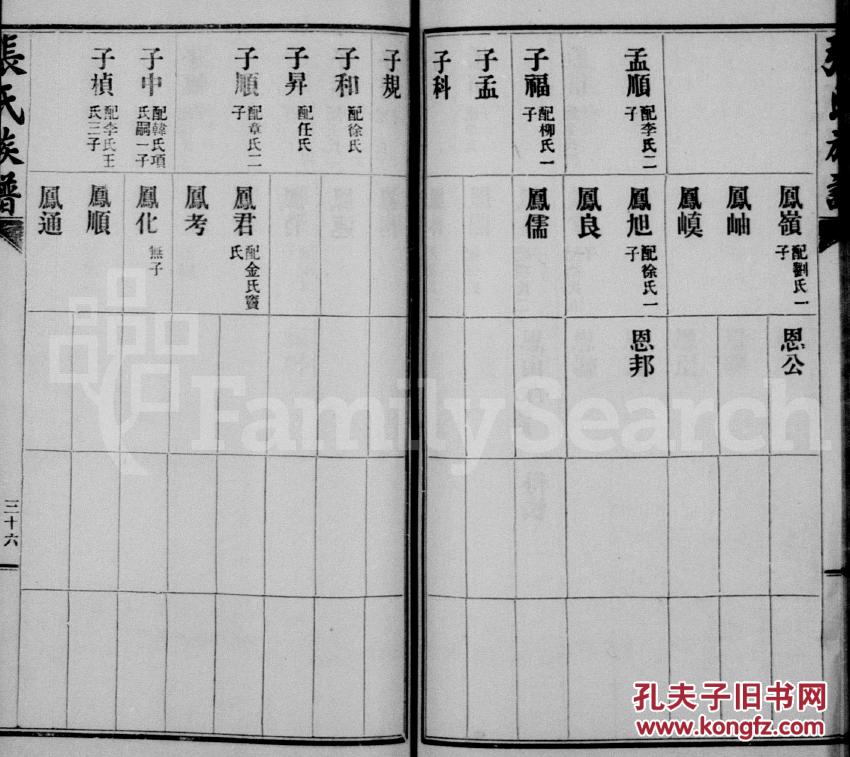 家谱----张氏族谱 张氏谱书 山东莱阳支 仲卿公 十本十卷 16开 780页