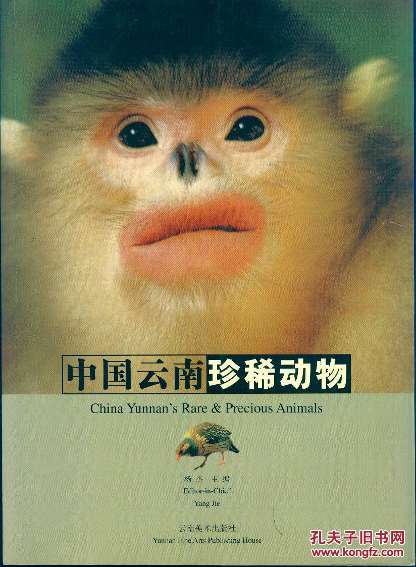 《中国云南珍稀动物【16开铜彩画册.品好如图】