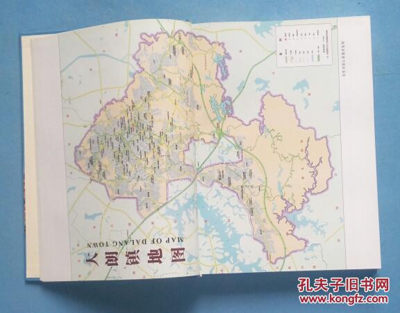 东莞大朗镇年鉴2010 (全新十品)