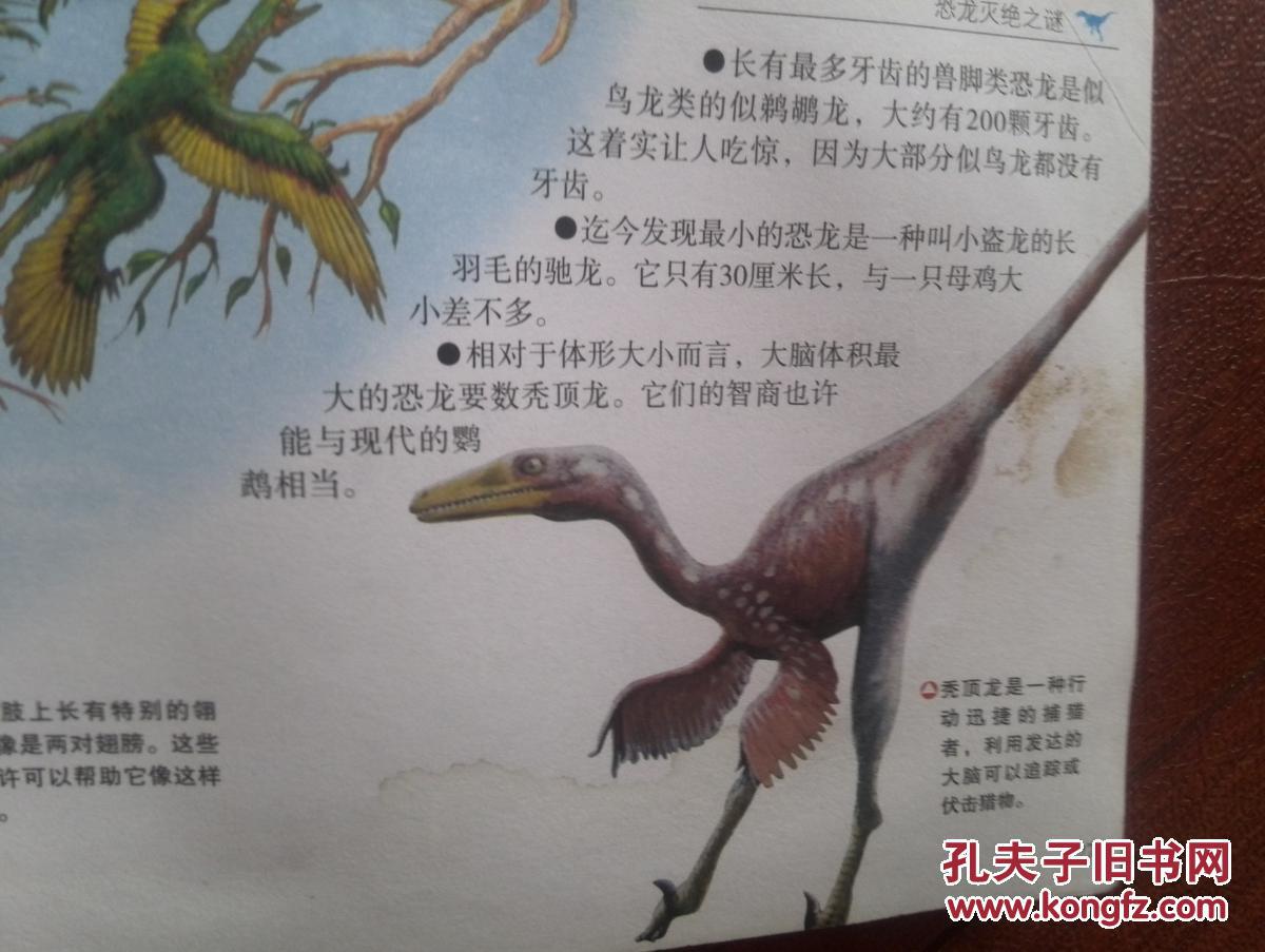 【图】恐龙百科2012一版一印,印数5千册,各阶段恐龙100多种介绍,图文并茂_雅逸报刊苑