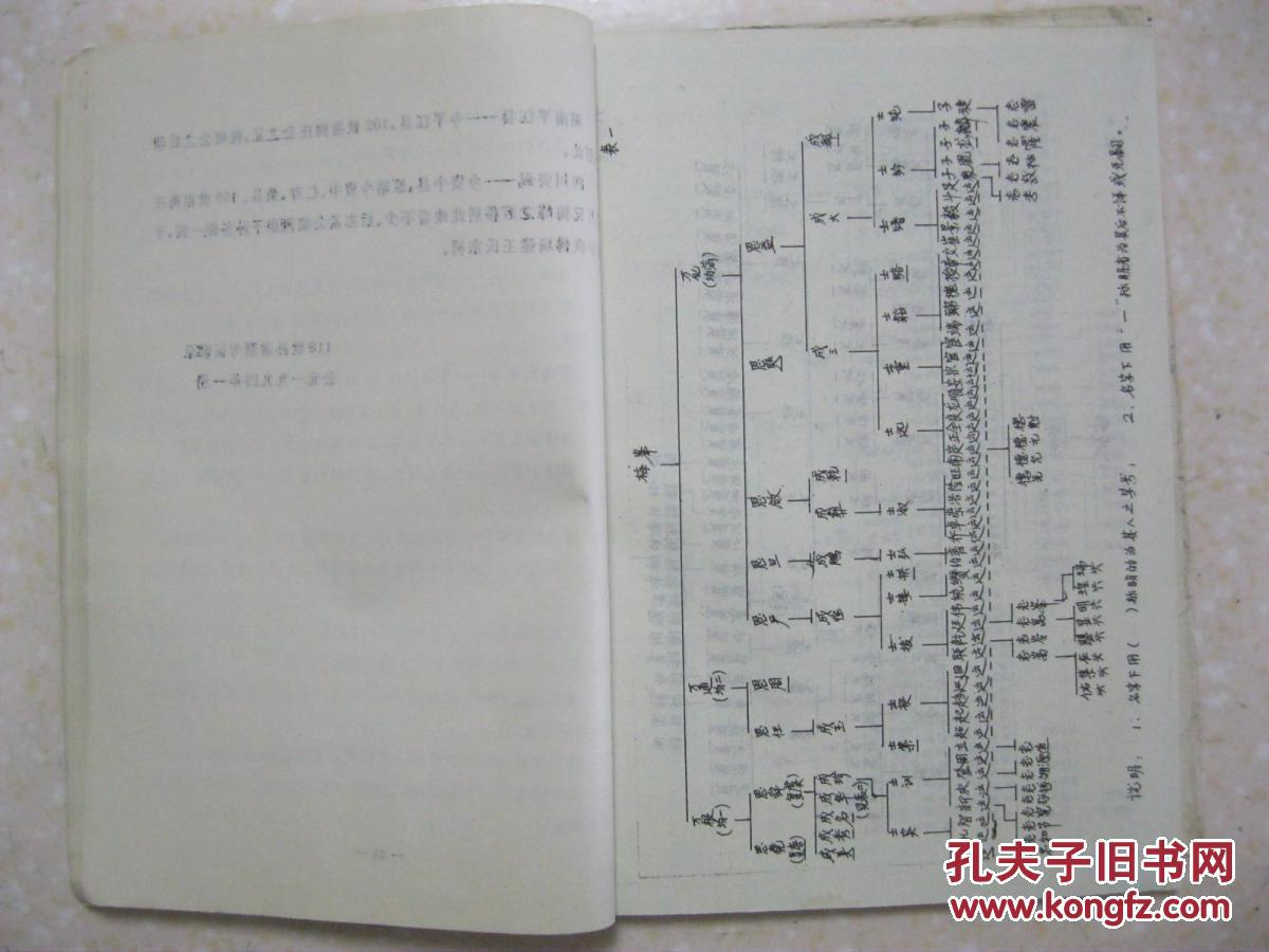 王氏族谱(四川仁寿禾加.排行:朝廷开达道忠孝振家声.