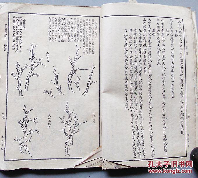 芥子园画谱 初集 卷一(树谱,卷二(山石谱)