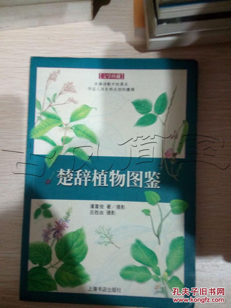 楚辞植物图鉴---[ID:26864][%#11I8%#]---[中