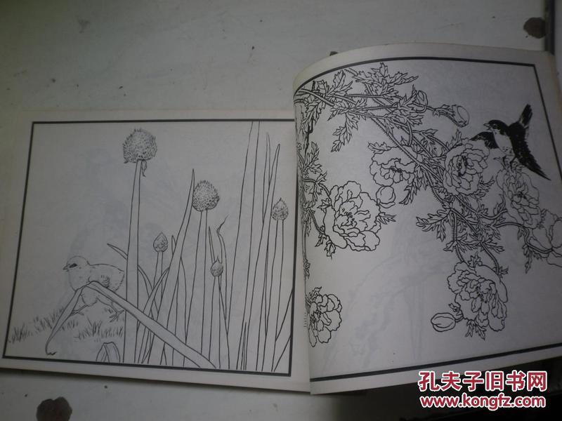 百花鸟曲谱_百花争艳(3)