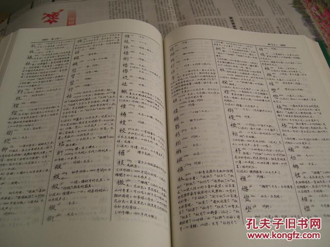 新部首大字典――历代全汉字集规范化字帖字典(精装)