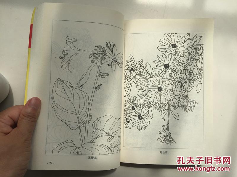 工笔画白描图谱