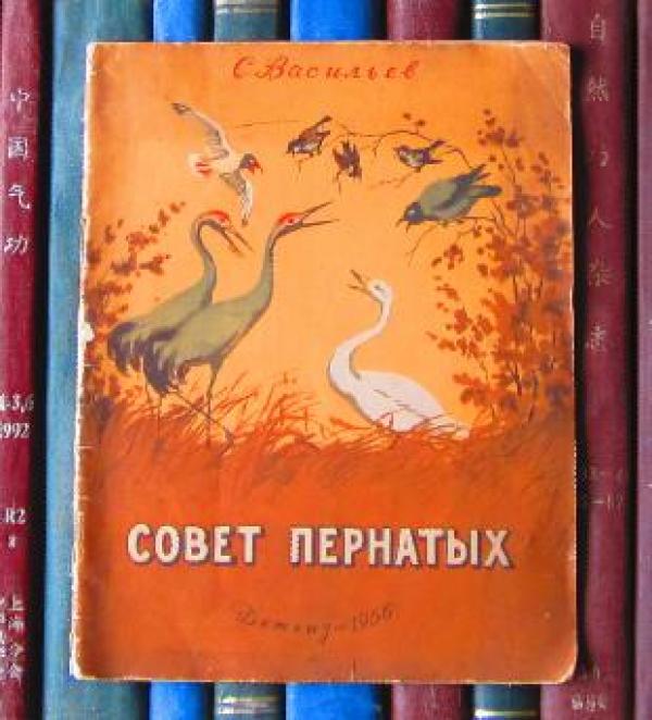 p4YBAFj6llOAPrfoAABXTp0lOAU978_n.jpg