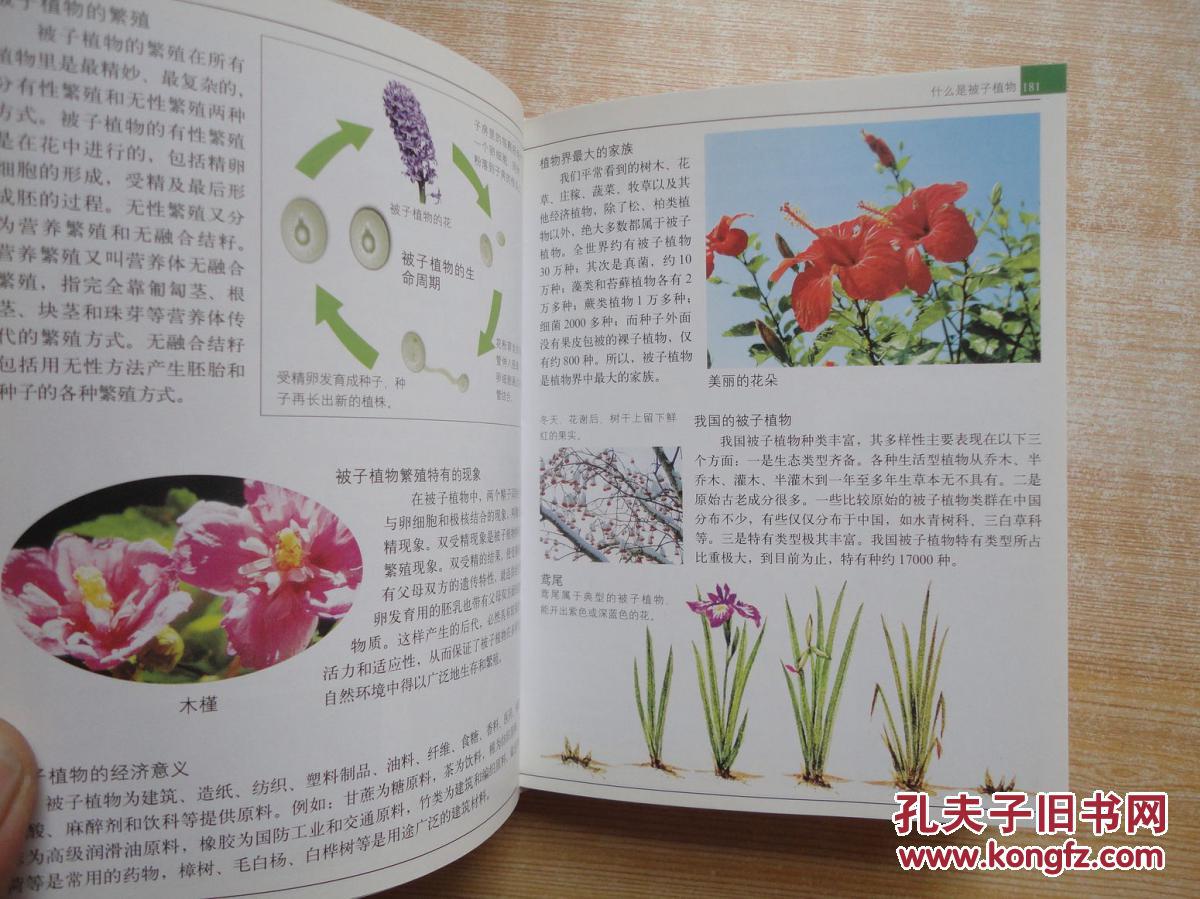 厚册mini彩图百科全书《植物百科》彩图 图文并茂 品好 见图