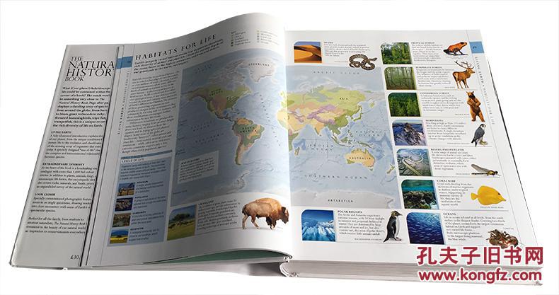 英文版 natural history dk自然历史大百科 非常实用的一本大百科全书