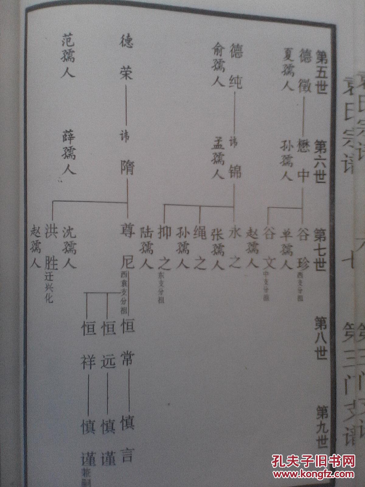 复印件袁氏宗谱汝南郡卧雪堂建湖可权公西袁庄三门支上下册16开294页