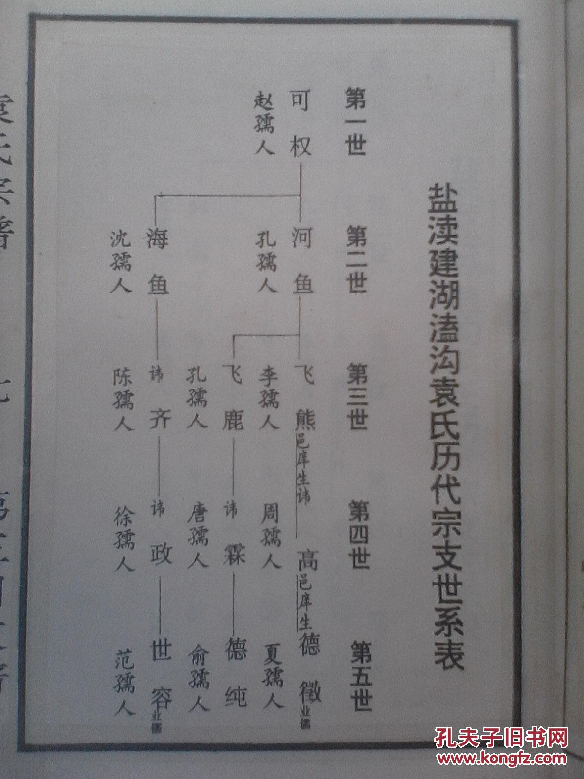 复印件袁氏宗谱汝南郡卧雪堂建湖可权公西袁庄三门支上下册16开294页