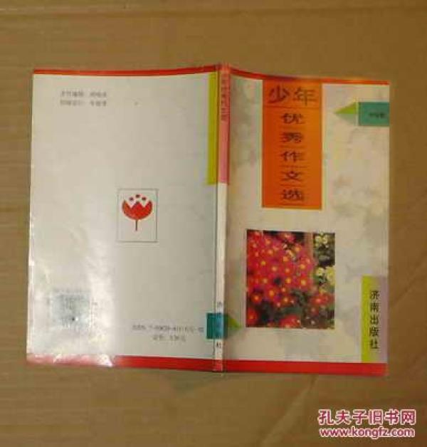 少年优秀作文选(第十九届小红花获奖征文选