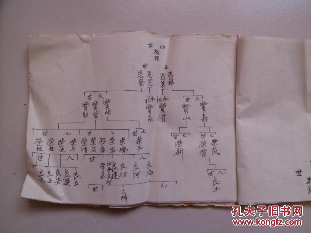 褚氏家谱【手写本】