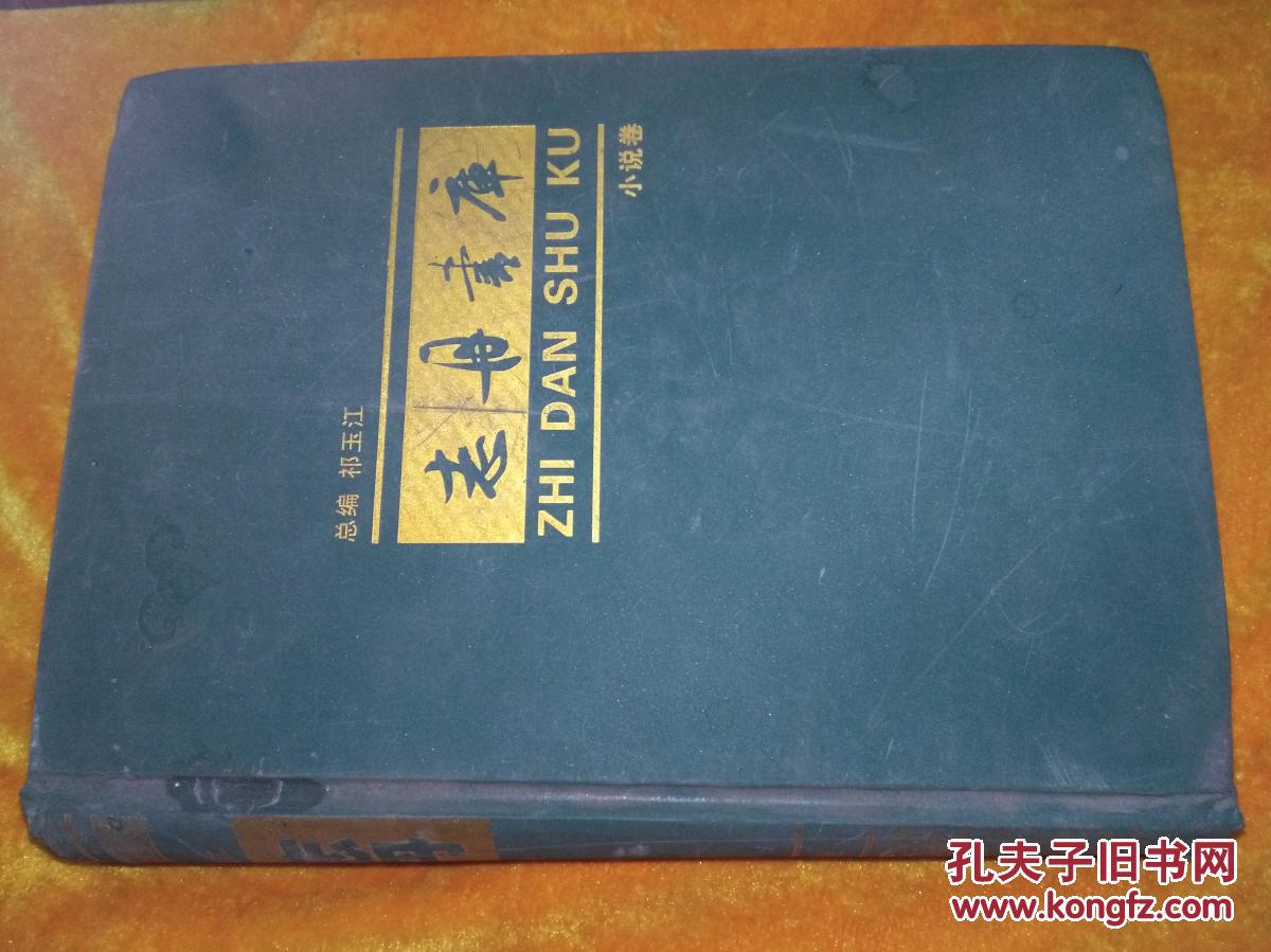 志丹书库小说卷