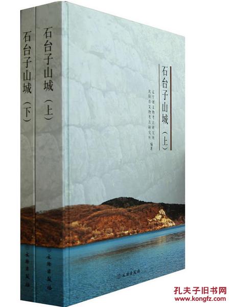 石台子山城(全二册(精)石台子山城(全二册(精)0430zz