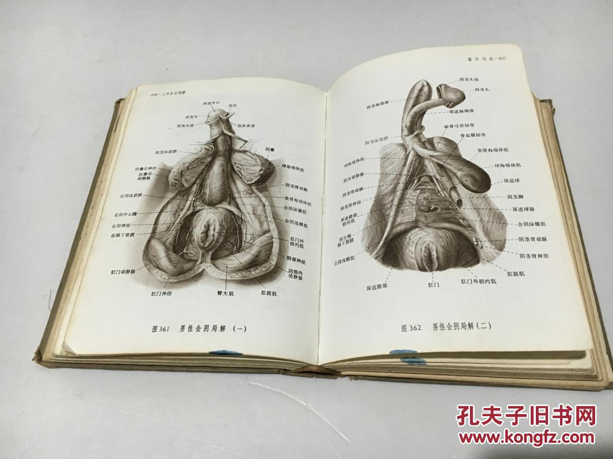 人体解剖图谱 (普及本)精装