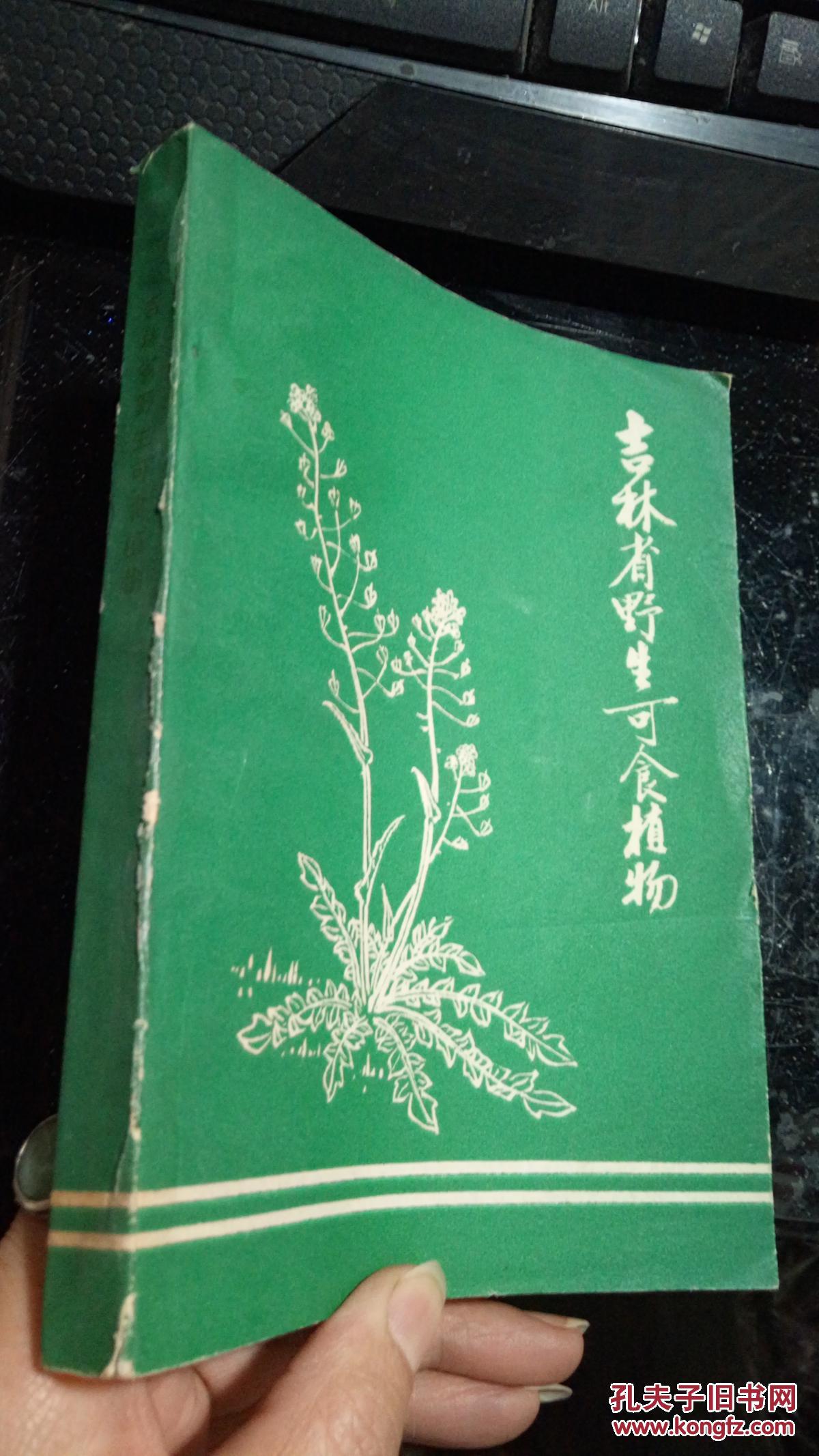 吉林省野生可食植物