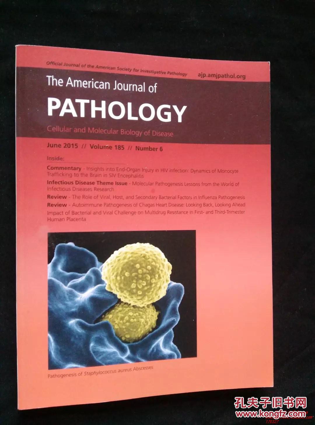 the american journal of pathology美国病理学杂志医学学术期刊2015