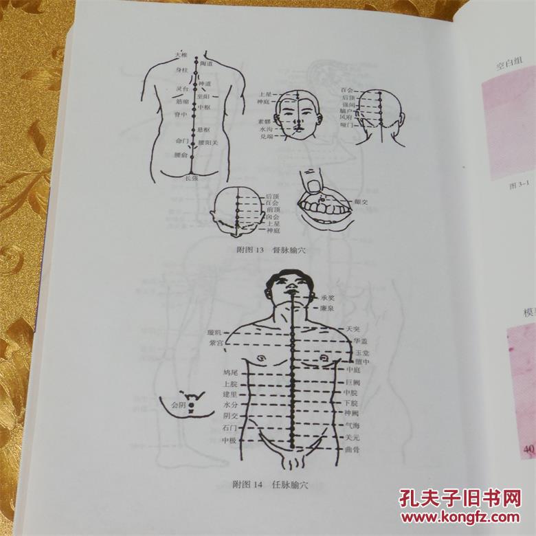 华佗夹脊治百病第二版 何天有 编著 中国医药科技出版