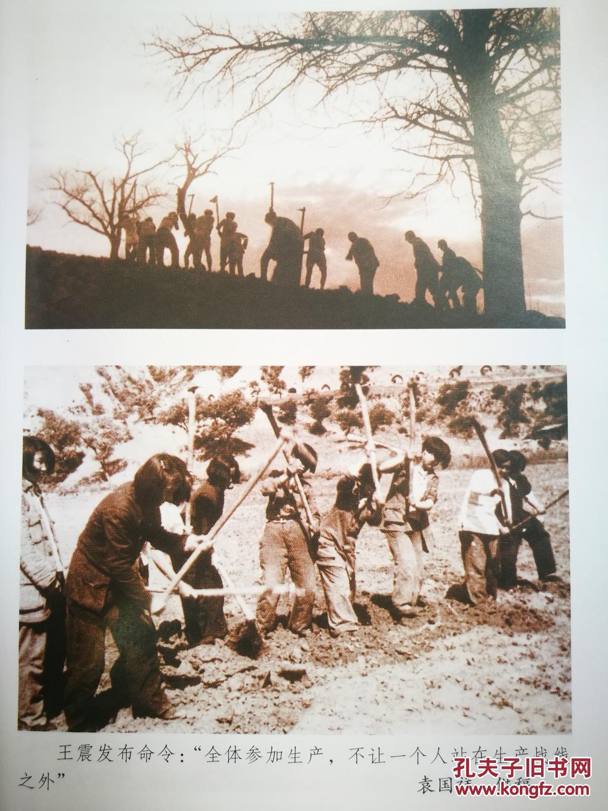 屯垦军魂:抗日时期三五九旅南泥湾大生产运动,解放初期驻疆人民解放军