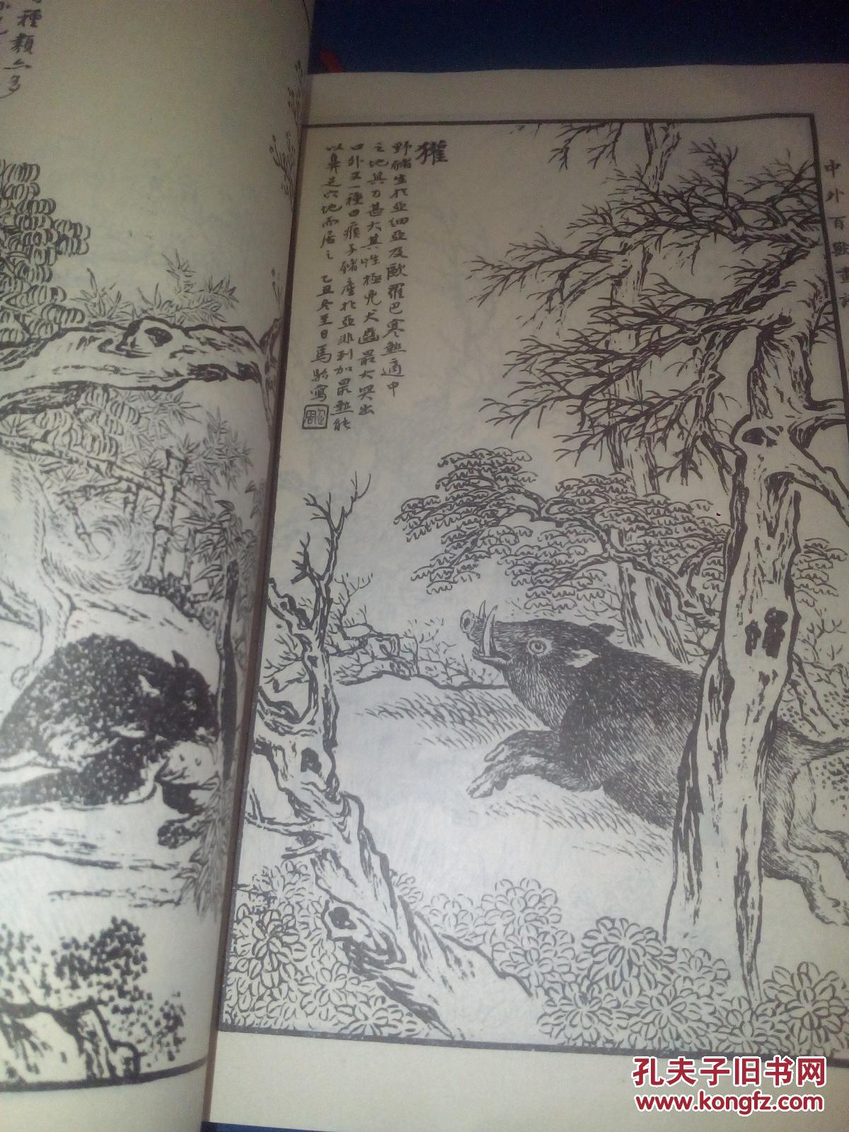 马骀画宝(第二集) 花鸟走兽>
