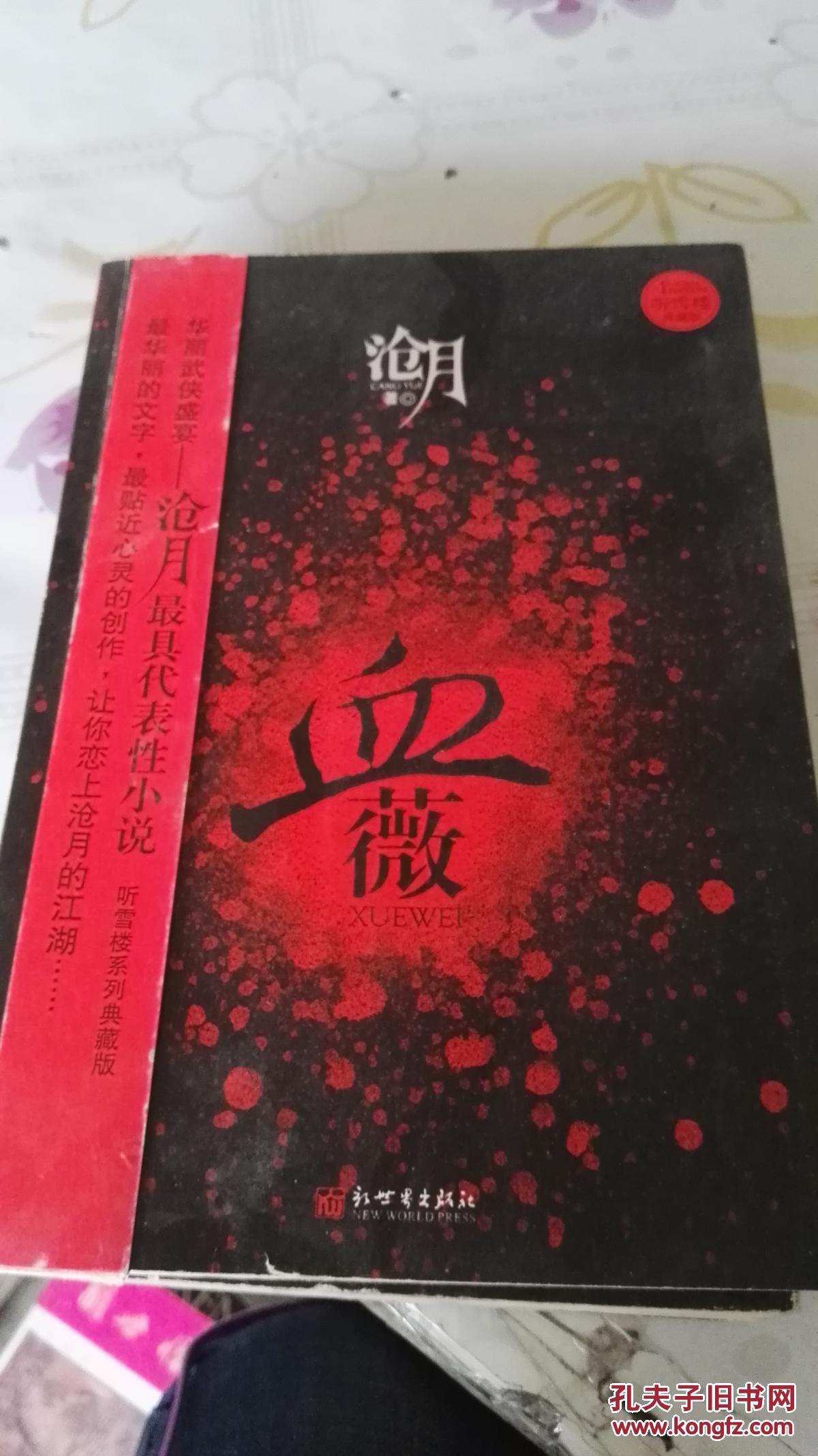 侠义小说:血薇