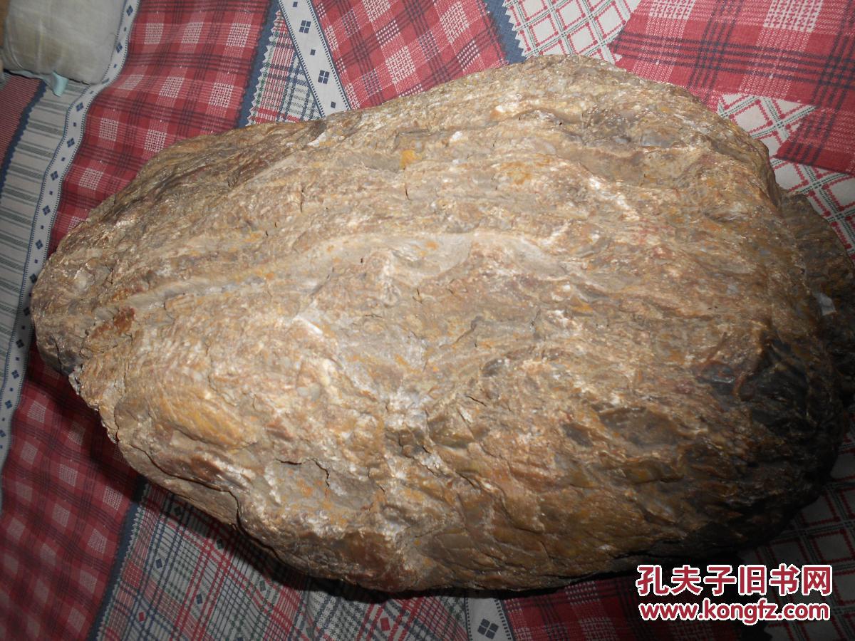 大件树化玉原石27公斤未经任何处理层次纹理明显