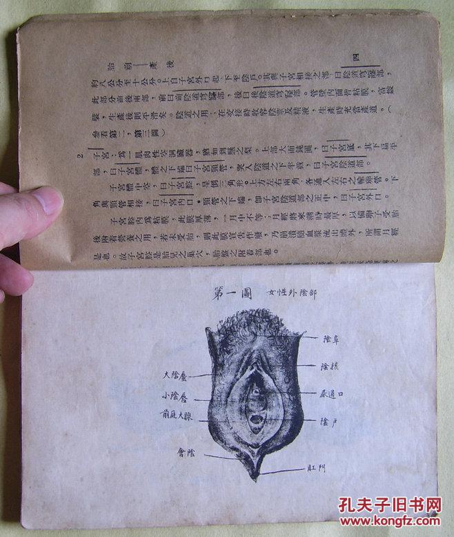 稀见民国25年《胎前产后》多插图并附有完整好品红色优待劵一张