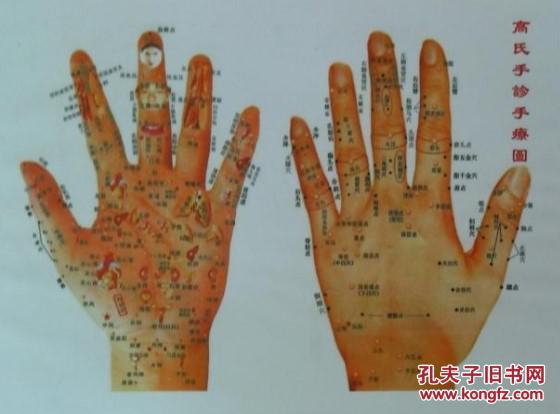 中医手诊学 高振宗 高氏手诊学全息图 新版老师教学书