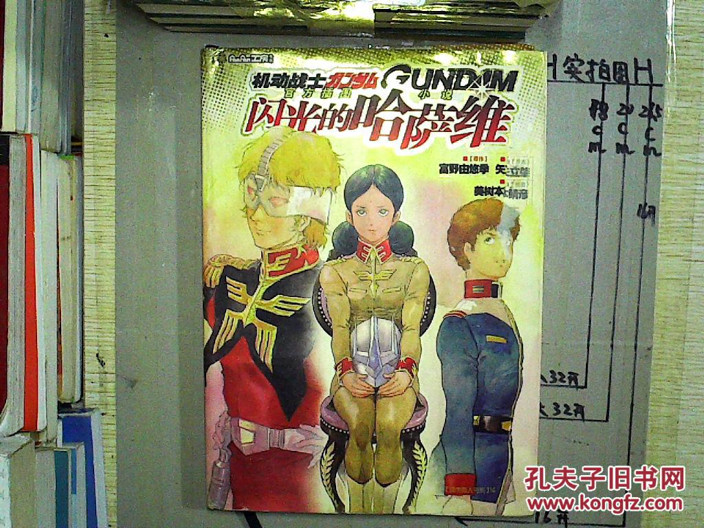 机动战士高达闪光的哈萨维 小说版