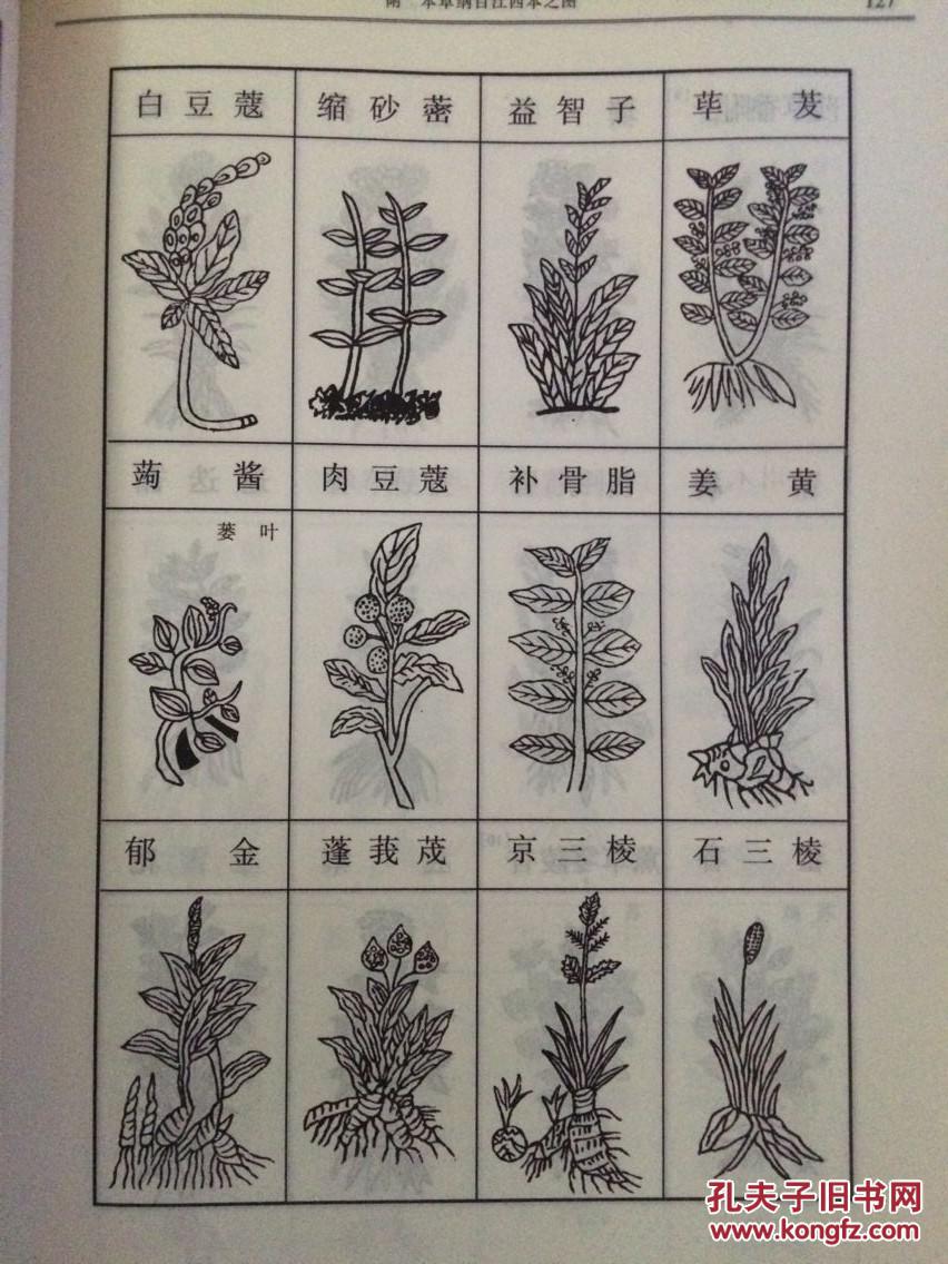 中医必读百部名著:本草纲目 全三册(新校注本·第三版)