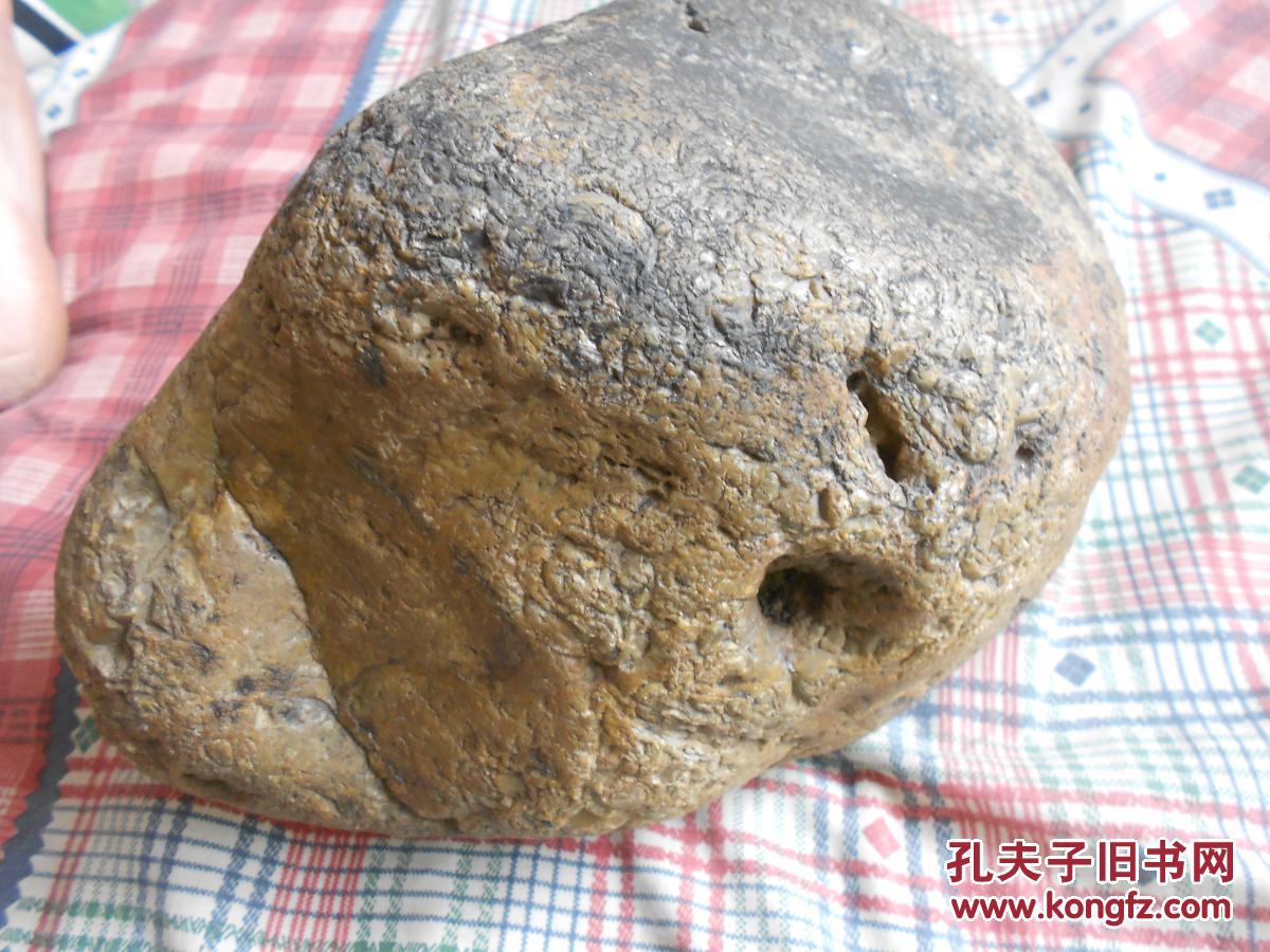 水冲硅化木原石10公斤(未经任何处理)