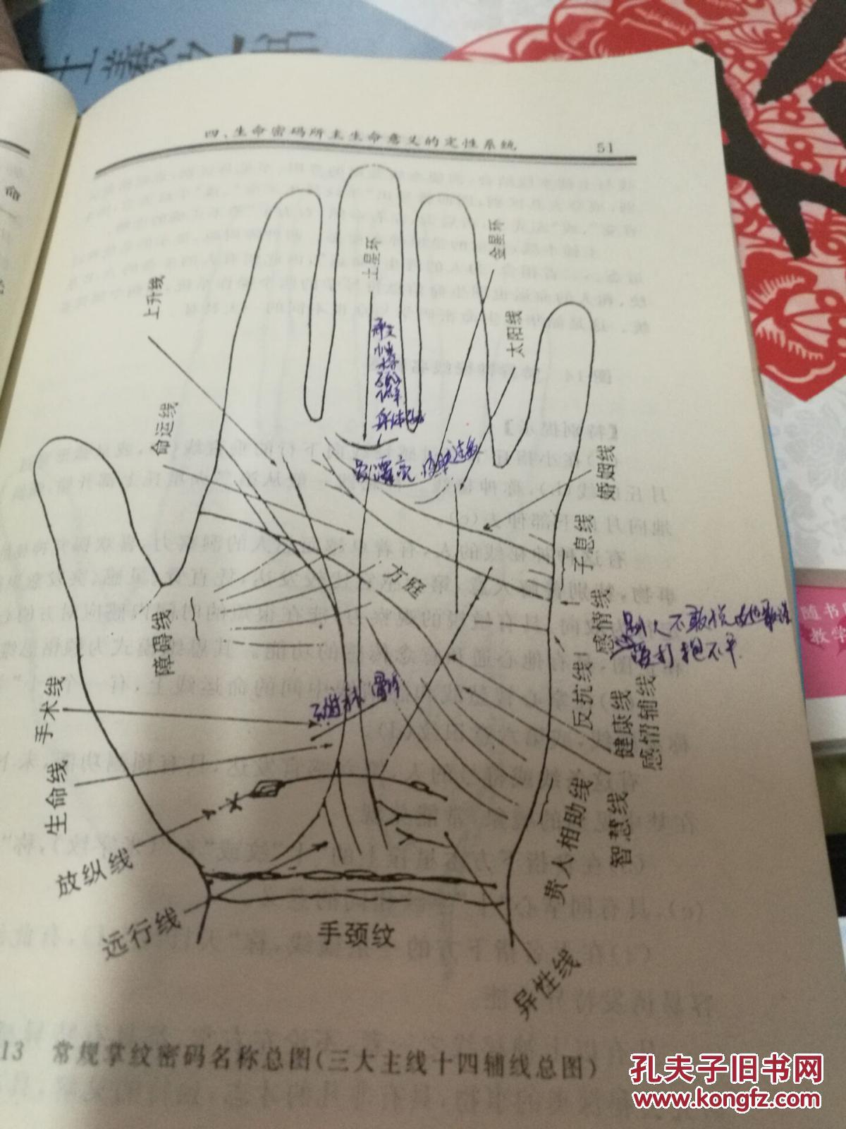 掌纹诊病实用图谱