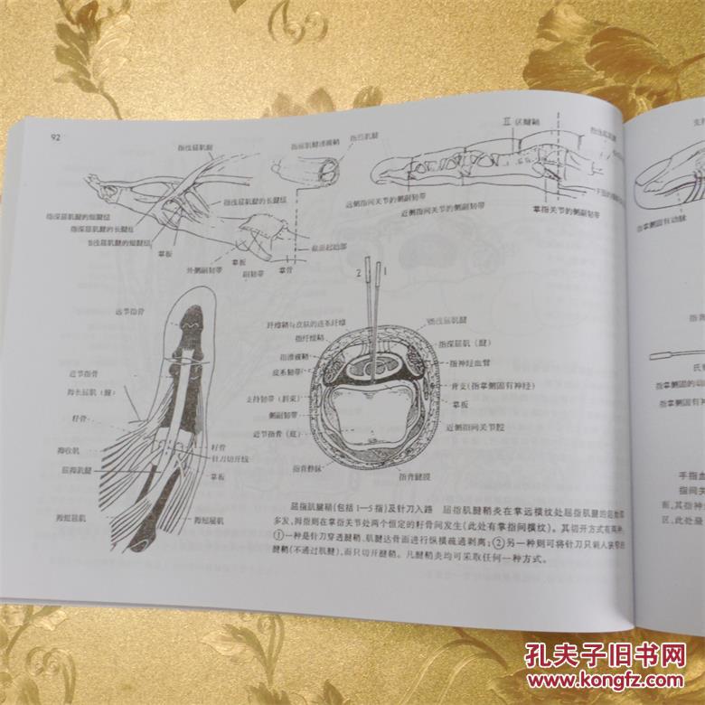 脊柱四肢关节针刀入路解剖图谱 庞继光 庞巍 编 朱汉章 审 中华中医药