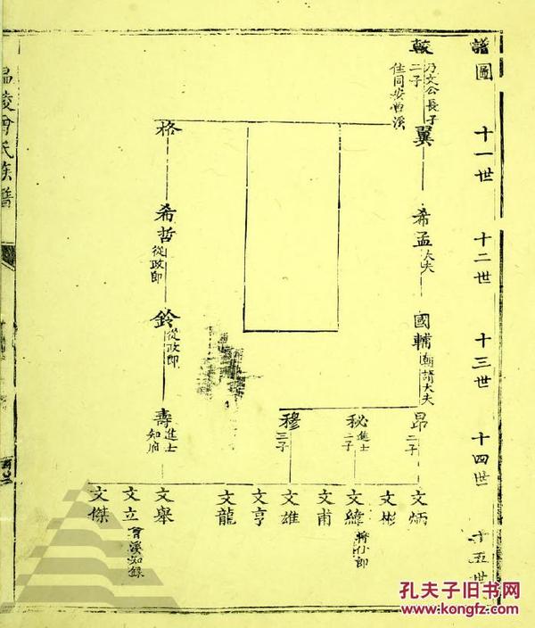 家谱----曾氏族谱 温陵支 16开 542页 原件模糊不清晰