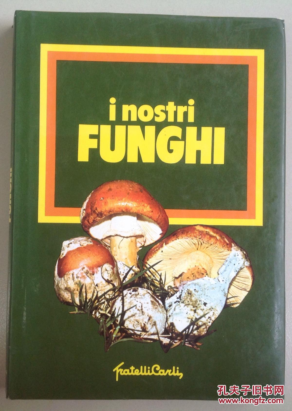 i nostri funghi蘑菇(非英文)