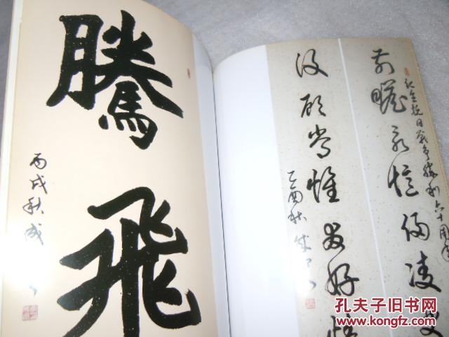 李成印书法集 ae2-13