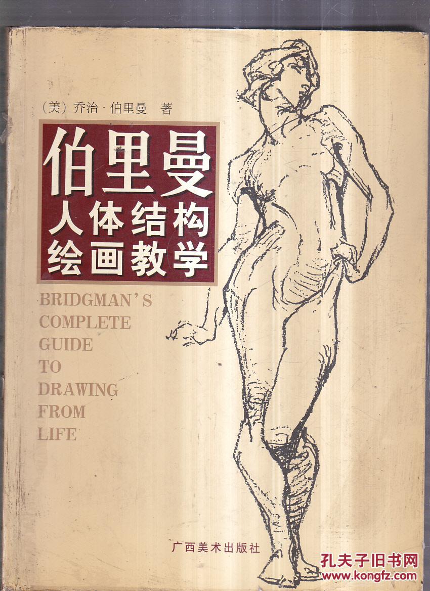 伯里曼人体结构绘画教学